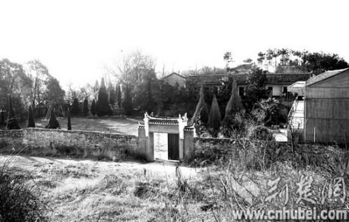 武汉7对父母将孩子带回农村租房种菜自当老师