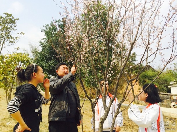 照片 3.JPG 照片 3.JPG