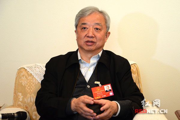 全国人大代表、湖南省经信委主任谢超英。