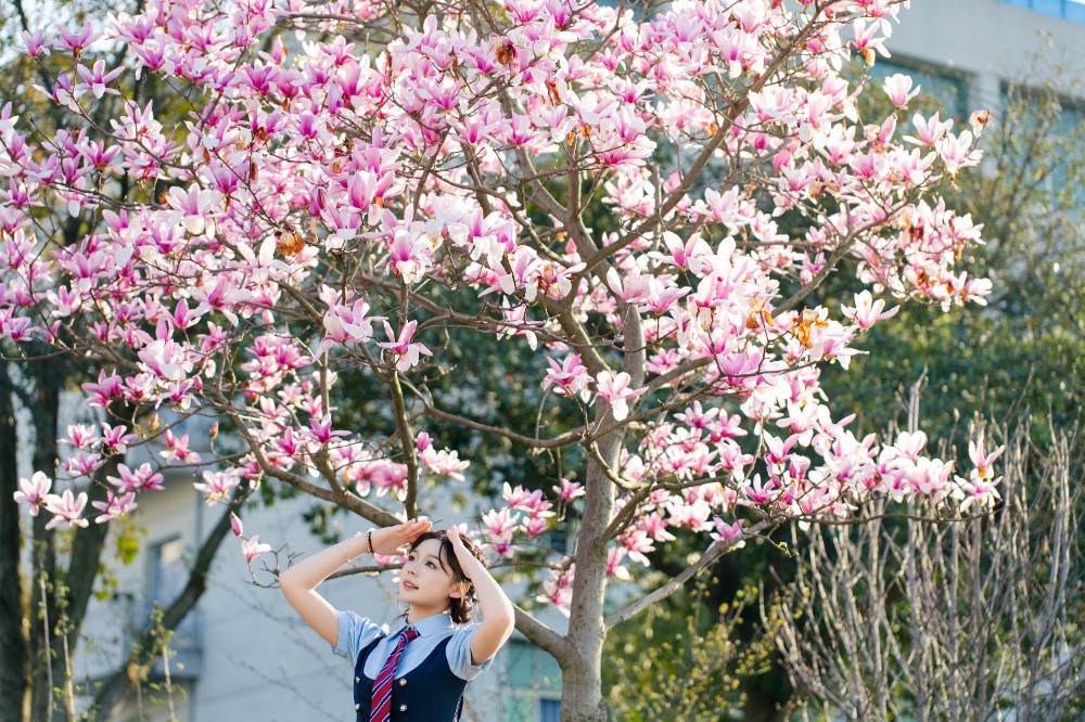玉兰邀月