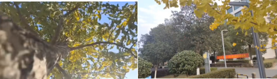 573d269b69d74d80a3f2bd1abad54771.Png