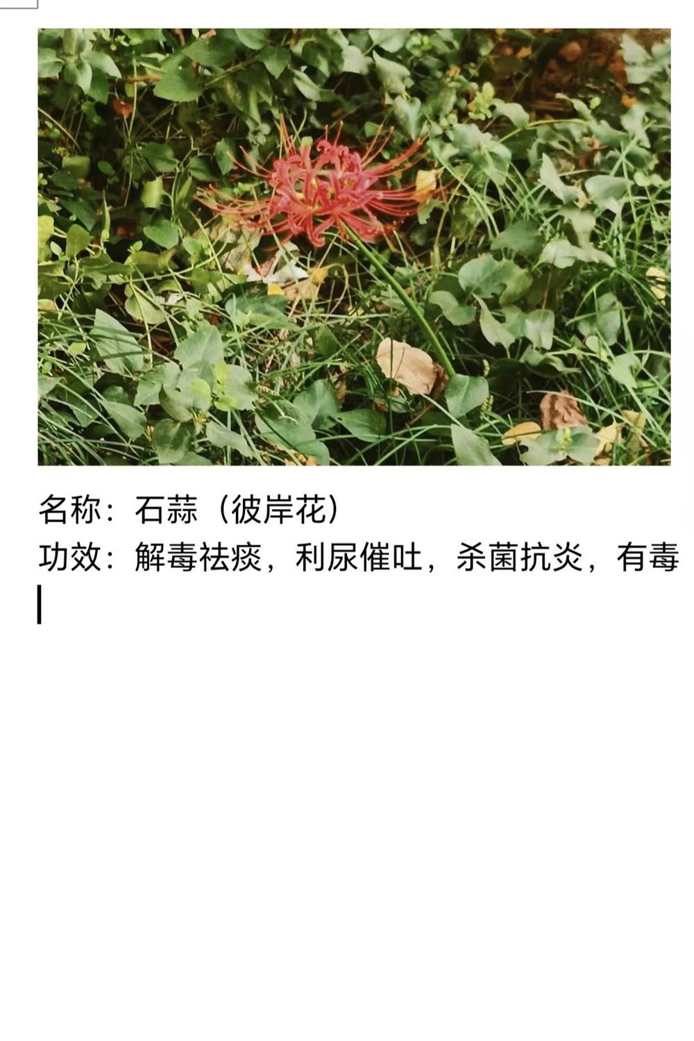 7d15ea6defdc48c084c796a174b74f27.Jpeg