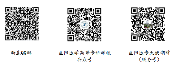 23d4e9c27e894dd4a267179e2a6d46ee.png