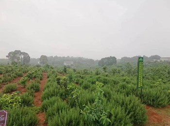 益阳医学高等专科学校变渣成金团队——科技让土壤焕发新生
