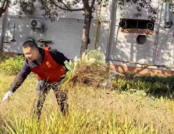 “联动赋能 先锋护绿”校内环境养护行动