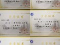 始于低谷，逐光而上｜从专科到研究生的逐医追梦之路