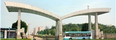 文明专栏