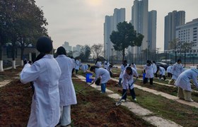 从课堂到田间，从书本到锄头