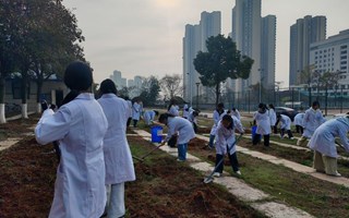 从课堂到田间，从书本到锄头