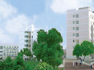 晨曦中的校园