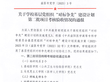 基层党组织“对标争先”建设计划第二批项目考核验收情况的通报