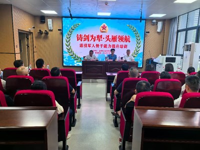 “铸剑为犁·头雁领航”