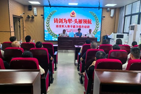 铸剑为犁 头雁领航